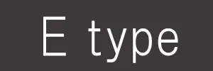 タイプE
