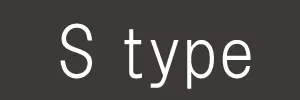 タイプS